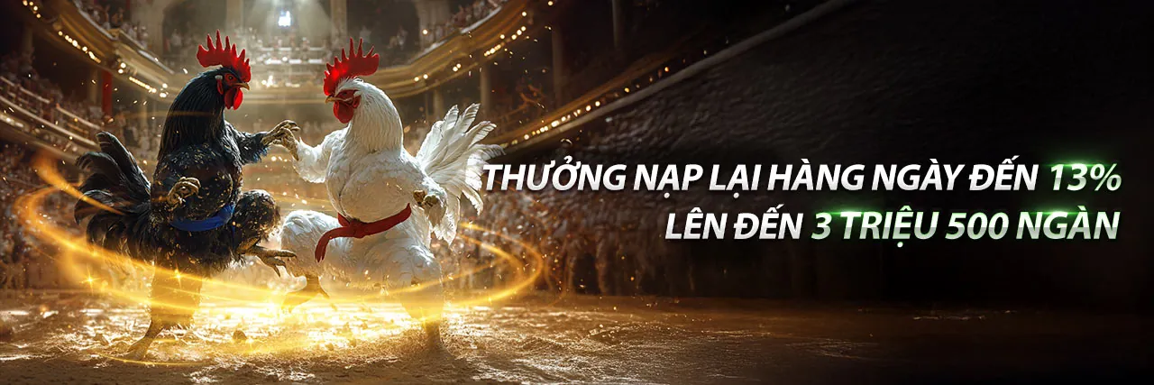 Các chương trình khuyến mãi và ưu đãi độc quyền tại Shbett Link Vào 2026